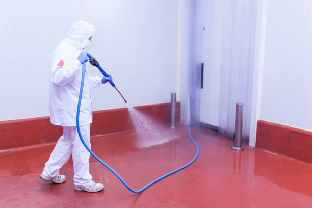 Best Winterizing Services  in Highwood, IL