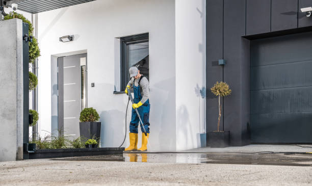 Animal Enclosure Cleaning in Highwood, IL